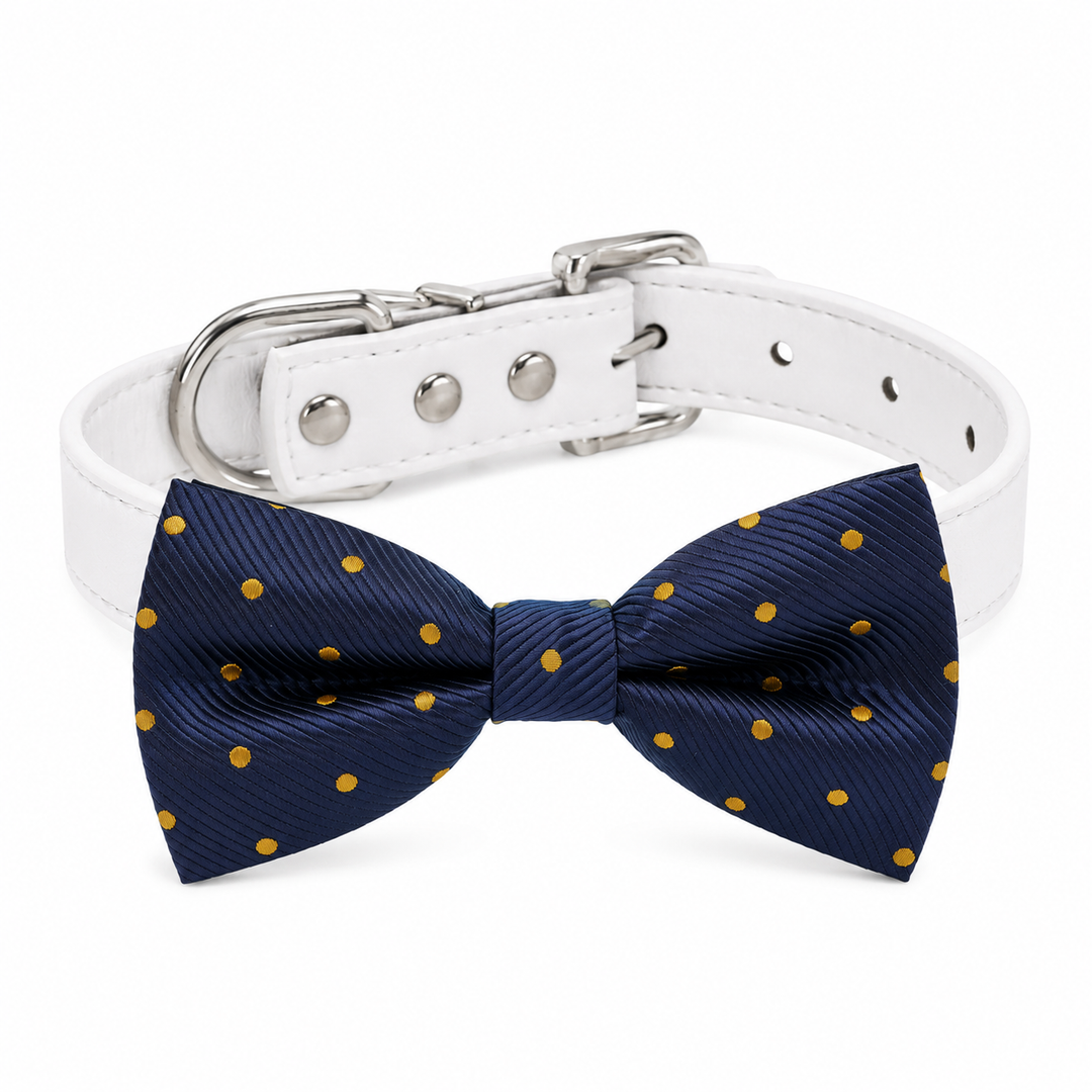 Navy blue dog bow tie collar with gold polka dot pattern, white vegan leather collar, and silver-tone hardware