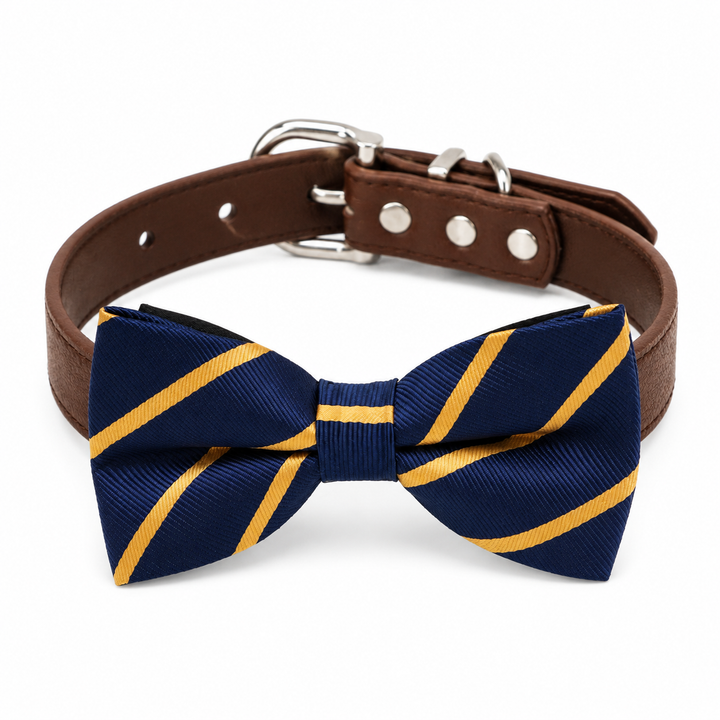 Navy blue dog bow tie collar with gold diagonal stripe pattern, brown vegan leather collar, and silver-tone hardware