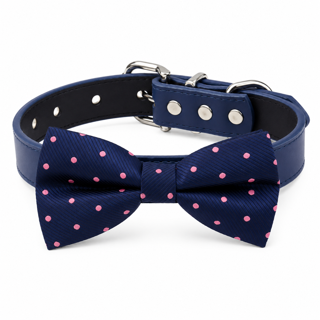 Navy blue dog bow tie collar with pink polka dot pattern, blue vegan leather collar, and silver-tone hardware