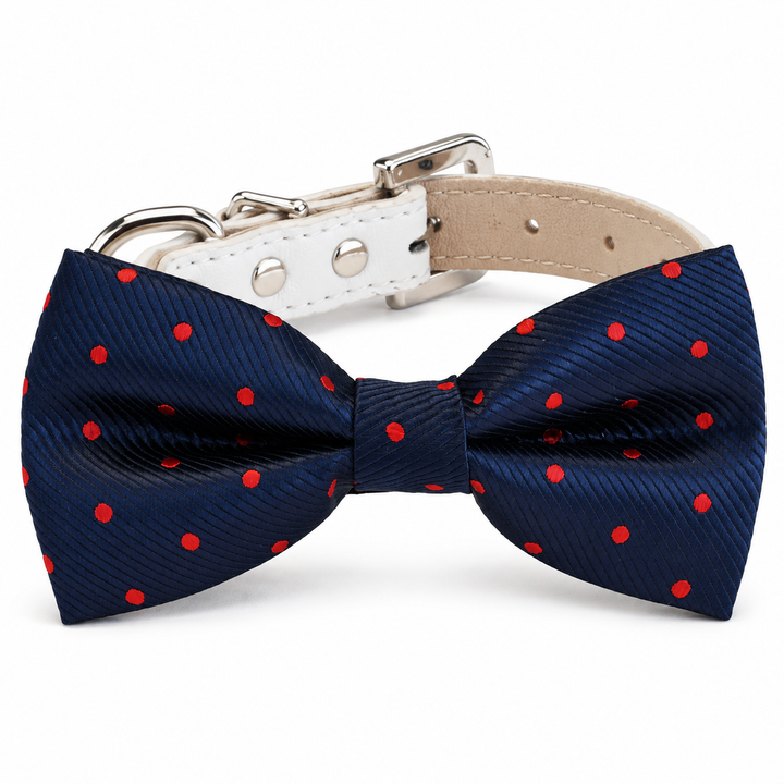 Navy blue dog bow tie collar with red polka dot pattern, white vegan leather collar, and silver-tone hardware