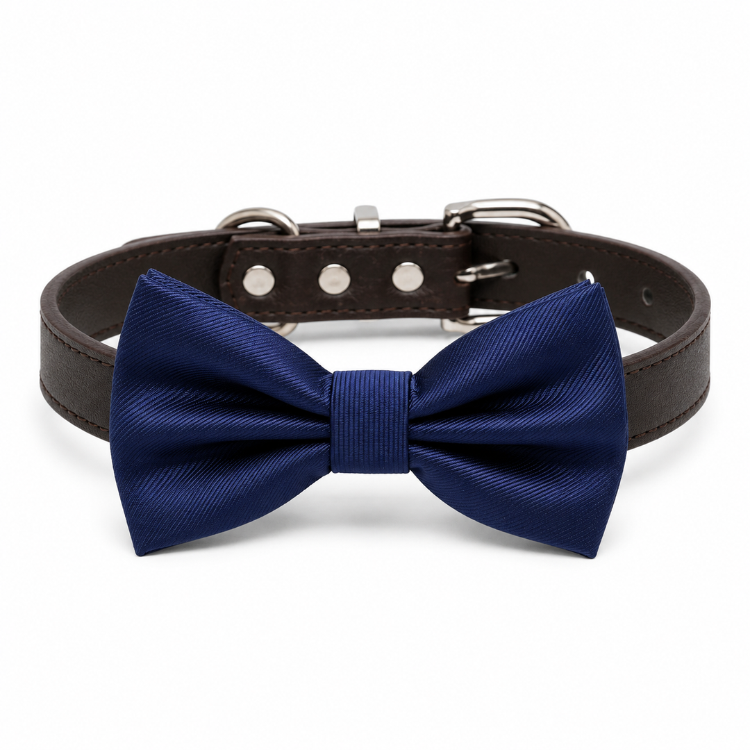 Navy blue ring bearer dog bow tie attached to a dark vegan leather collar with silver-tone hardware for weddings and formal occasions.