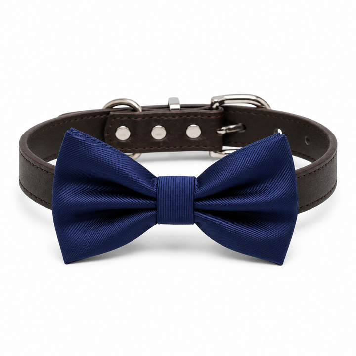 Navy blue ring bearer dog bow tie attached to a dark vegan leather collar with silver-tone hardware for weddings and formal occasions.