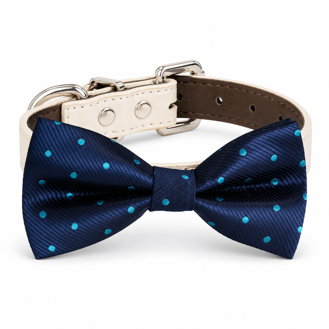 Navy blue dog bow tie collar with turquoise polka dot pattern, ivory vegan leather collar, and silver-tone hardware