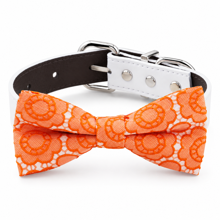 Orange lace dog bow tie collar with white vegan leather collar and floral lace pattern