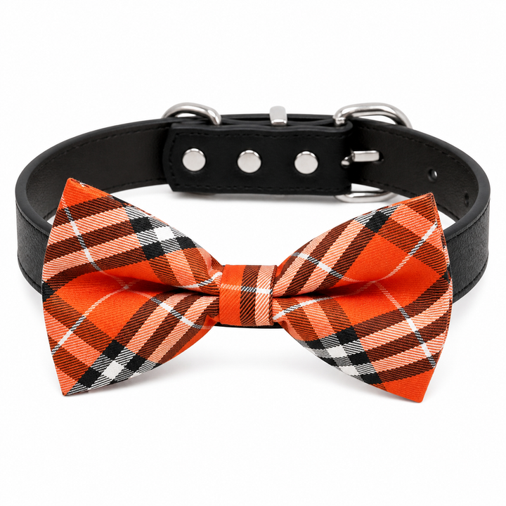 Orange plaid dog bow tie collar with black vegan leather collar and classic tartan pattern