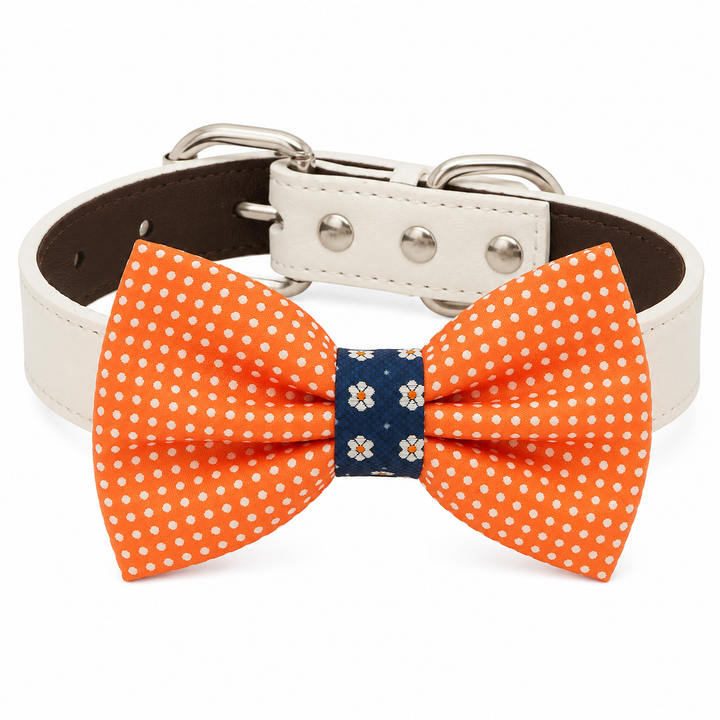Orange polka dot dog bow tie collar with white vegan leather collar and floral accent center