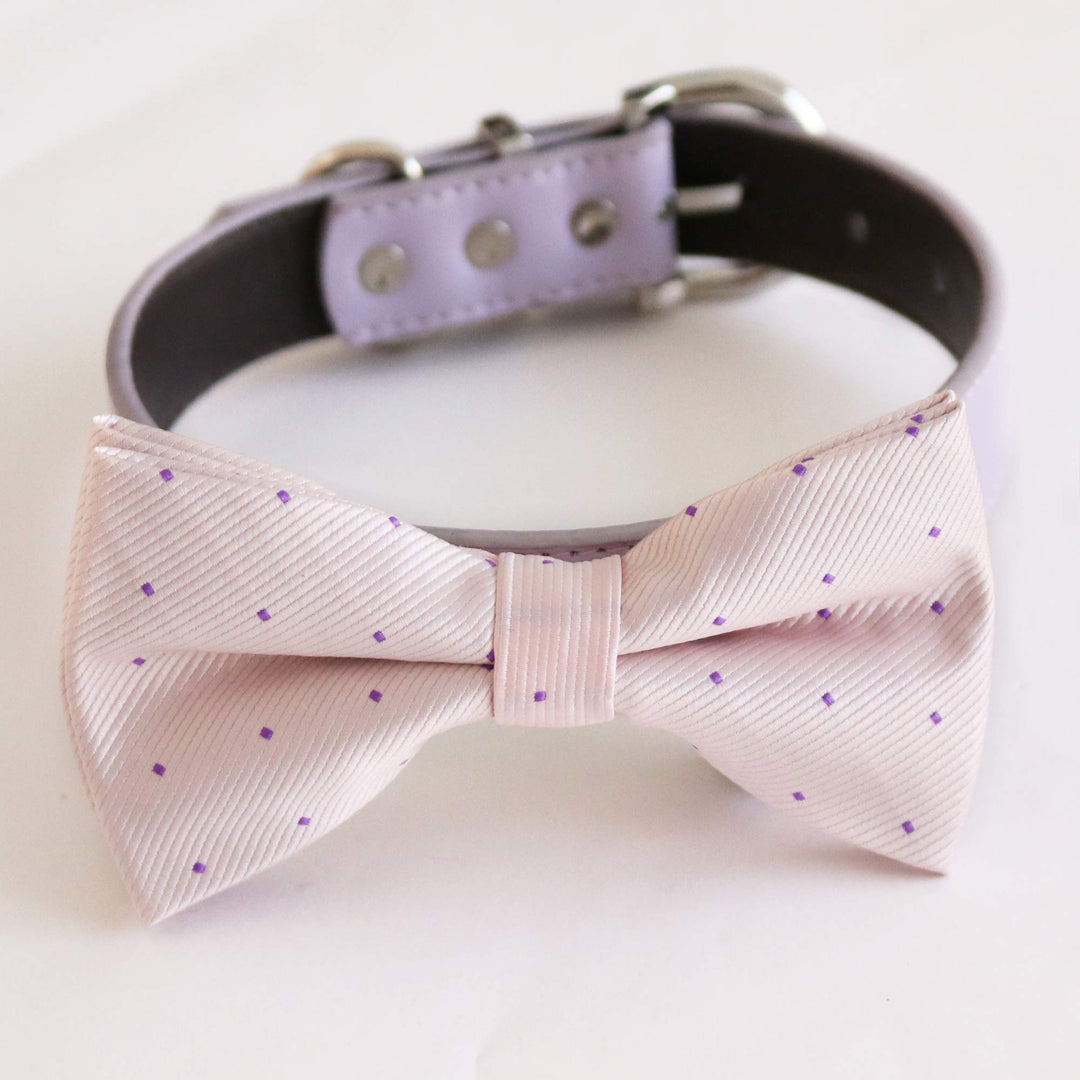 Pastel pink dotted dog bow tie collar with lavender vegan leather collar and silver hardware