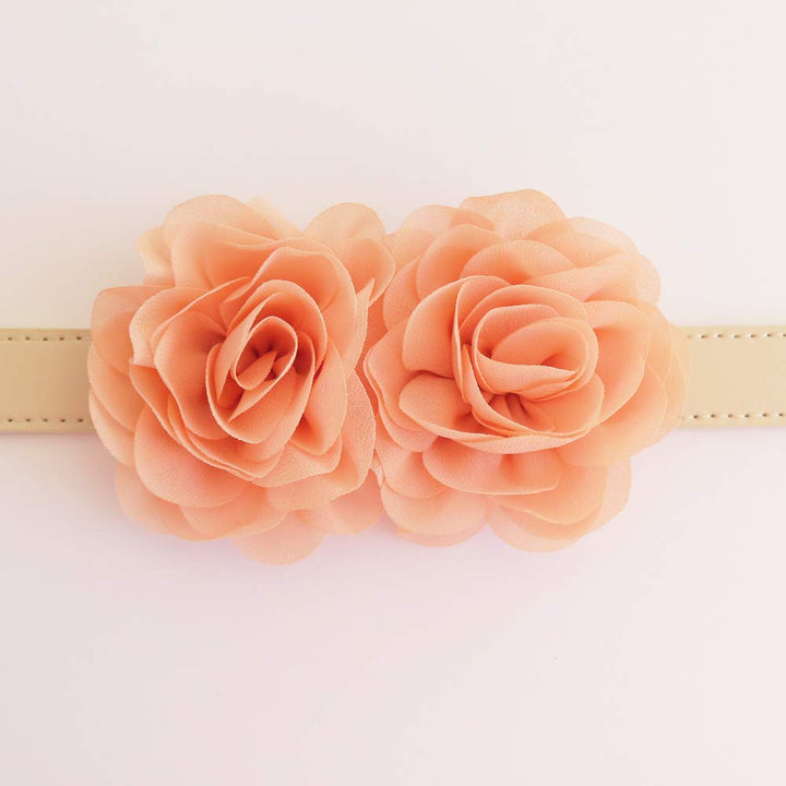 Two peach chiffon flower accents mounted on a cream dog collar for weddings and special occasions.