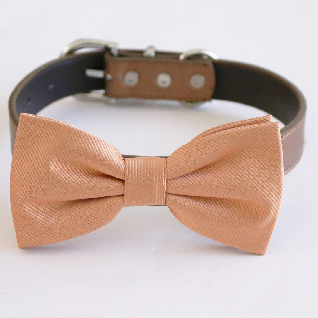 Peach solid color dog bow tie attached to brown vegan leather collar