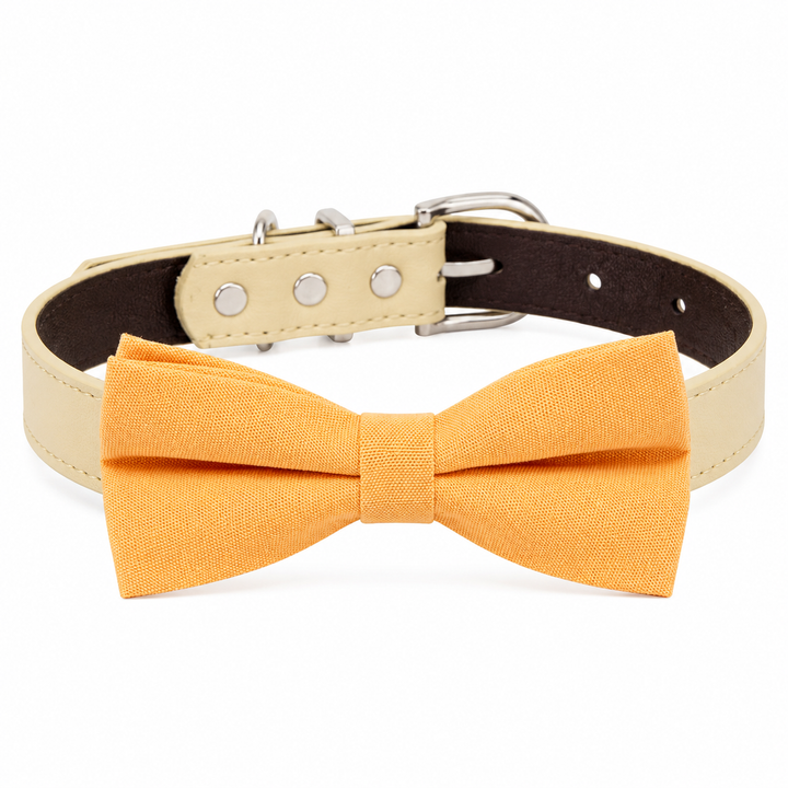 Peach solid color dog bow tie collar with cream vegan leather collar and elegant minimalist design