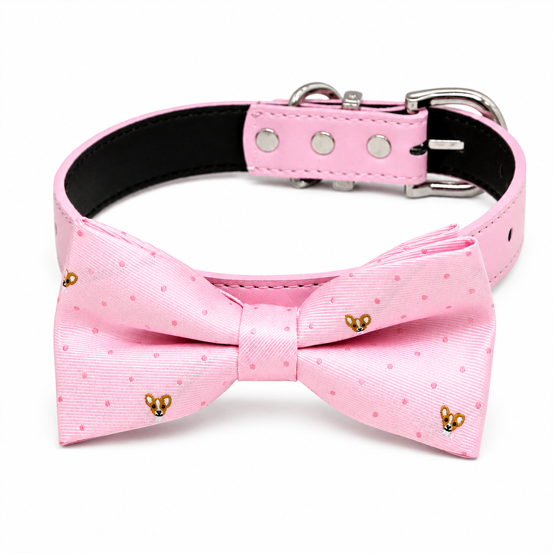 Pink dog bow tie collar with corgi print pattern, pink vegan leather collar, and silver-tone hardware