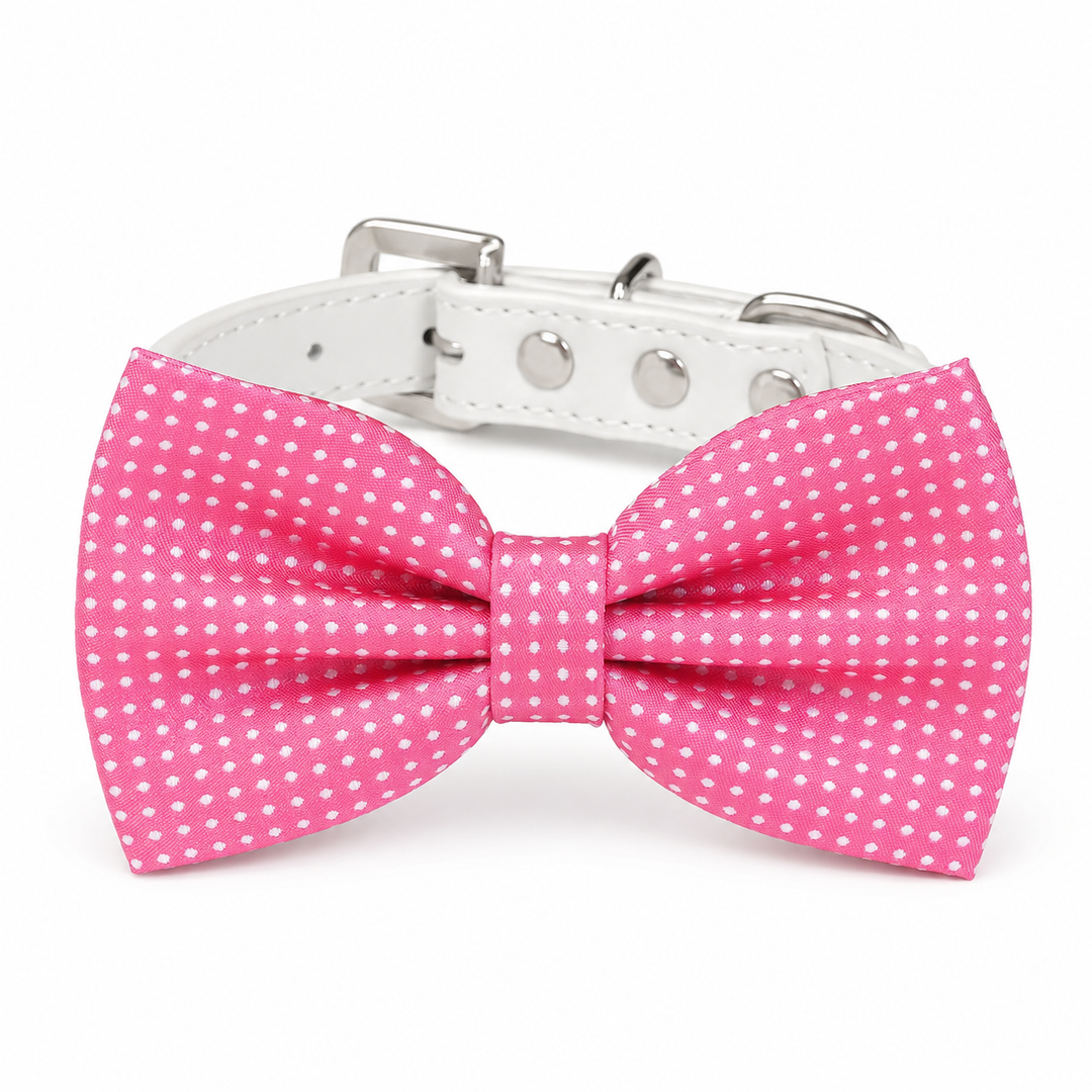 Pink polka dot dog bow tie collar with white vegan leather collar and silver-tone hardware