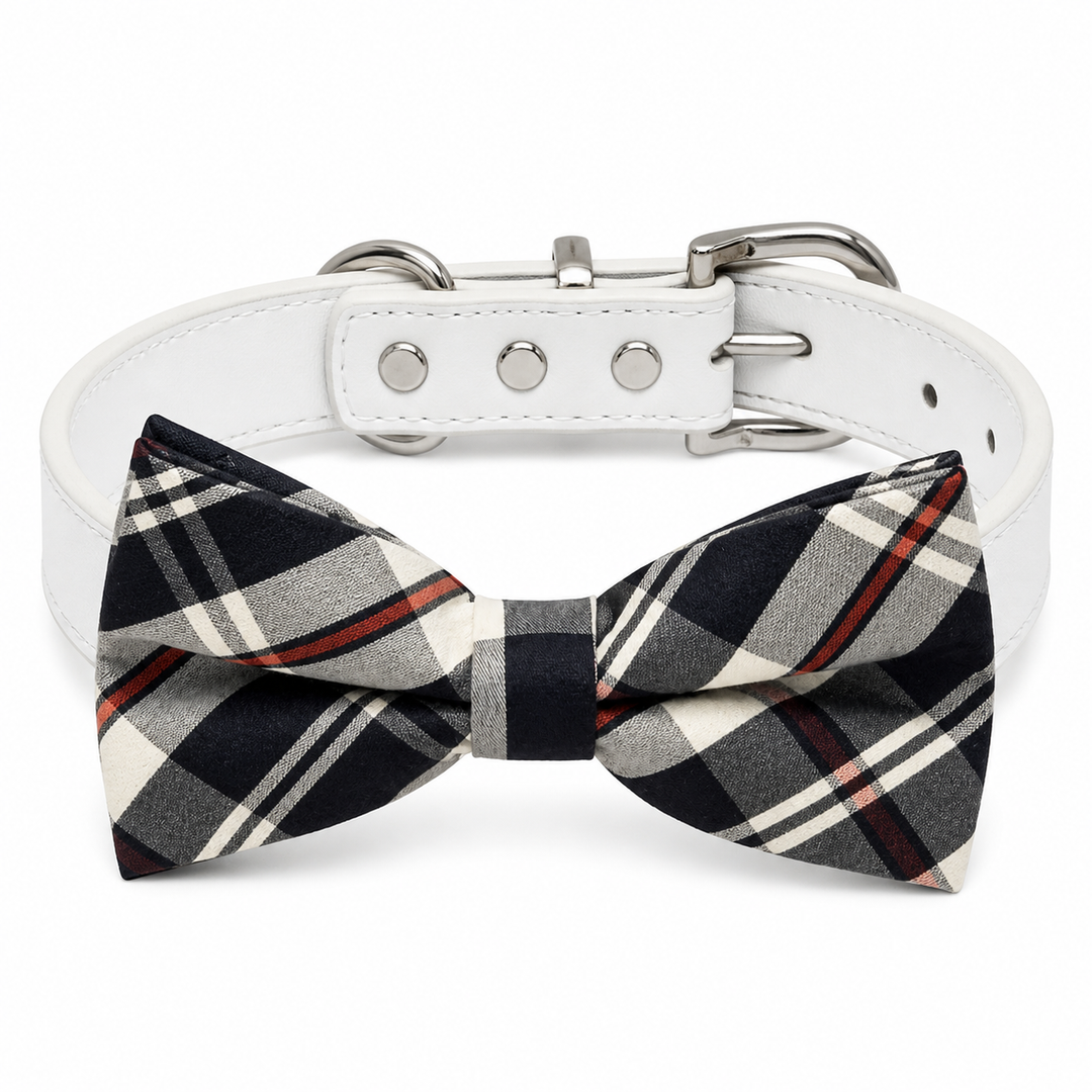 Plaid dog bow tie collar with white vegan leather collar and silver hardware for weddings and formal occasions.