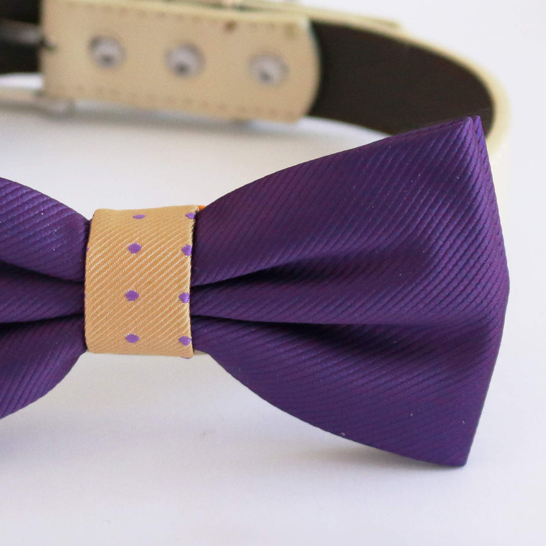Purple dog bow tie with a cream polka dot center accent attached to a cream vegan leather collar.