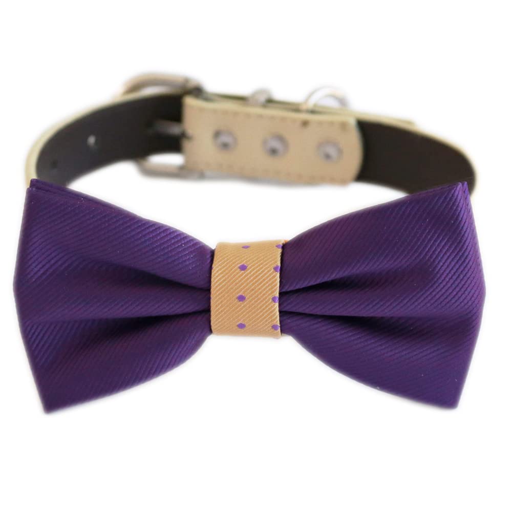 Purple dog bow tie collar featuring a cream polka dot center band and adjustable cream vegan leather collar.