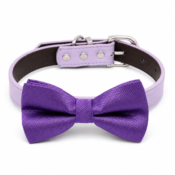 Purple shimmer dog bow tie collar with lavender vegan leather collar and silver-tone hardware