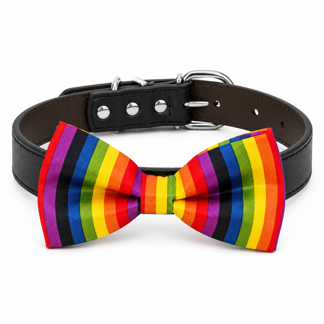 Rainbow stripe dog bow tie collar with black vegan leather collar and silver-tone hardware