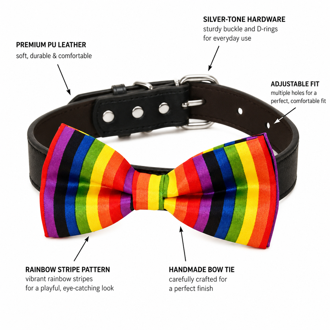 Rainbow stripe dog bow tie collar feature guide showing vegan leather collar, silver-tone hardware, adjustable fit, rainbow stripe pattern, and handmade bow tie