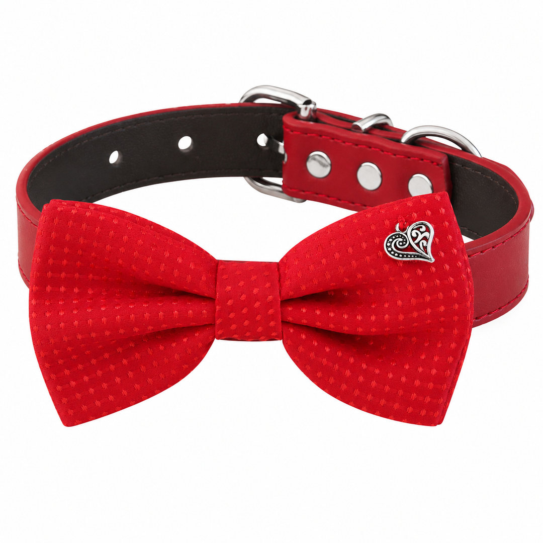 Red textured dog bow tie collar with silver heart charm and red vegan leather collar.