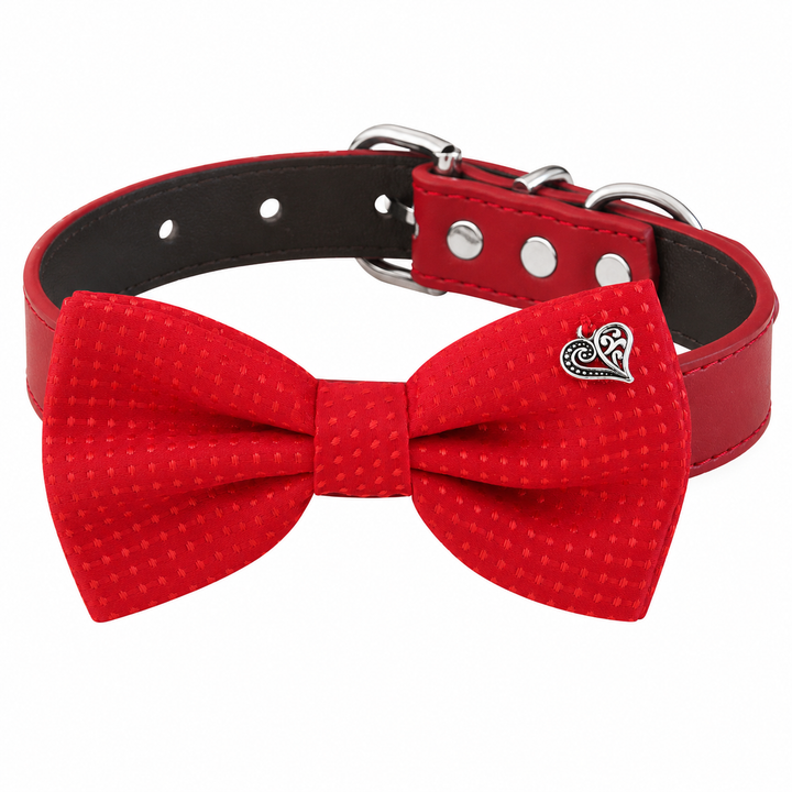 Red textured dog bow tie collar with silver heart charm and red vegan leather collar.