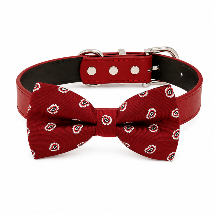 Red paisley pattern dog bow tie collar with red vegan leather collar and silver-tone hardware