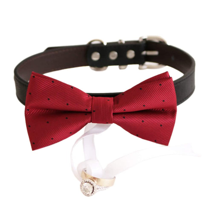 Red ring bearer dog bow tie collar featuring a black dot pattern and attached ring holder ribbon.