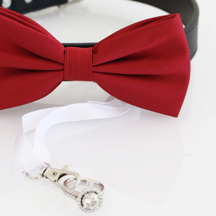 Red ring bearer dog bow tie collar with white ribbon ring holder attachment.