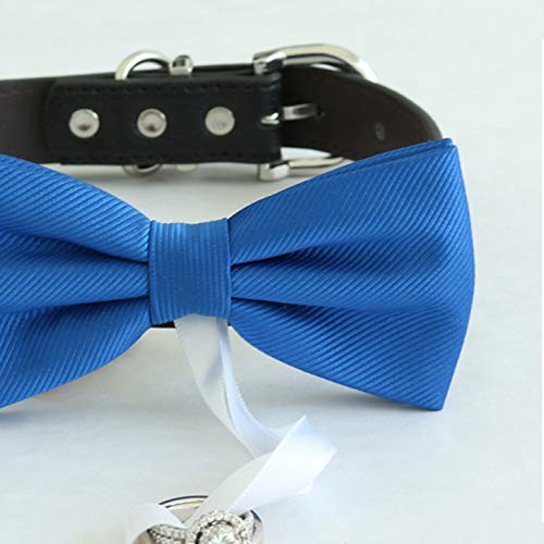 Close-up of royal blue ring bearer dog bow tie collar with white ribbon ring holder attachment
