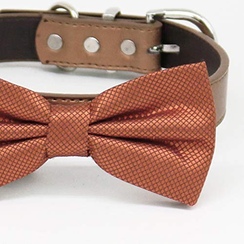 Close-up of rust copper metallic dog bow tie with textured geometric pattern and vegan leather collar