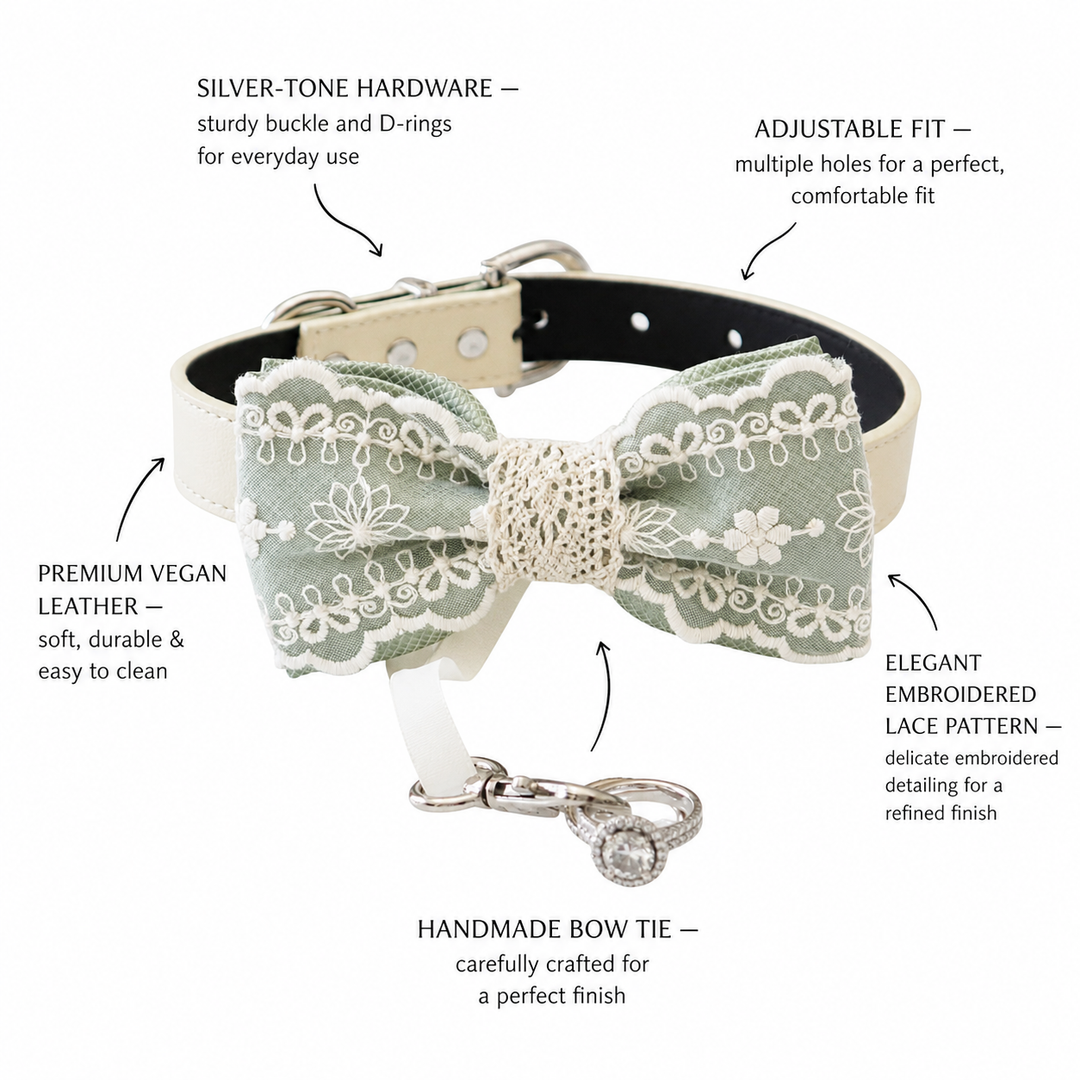 Sage green ring bearer dog bow tie collar highlighting lace embroidery, vegan leather collar, adjustable fit, and silver hardware