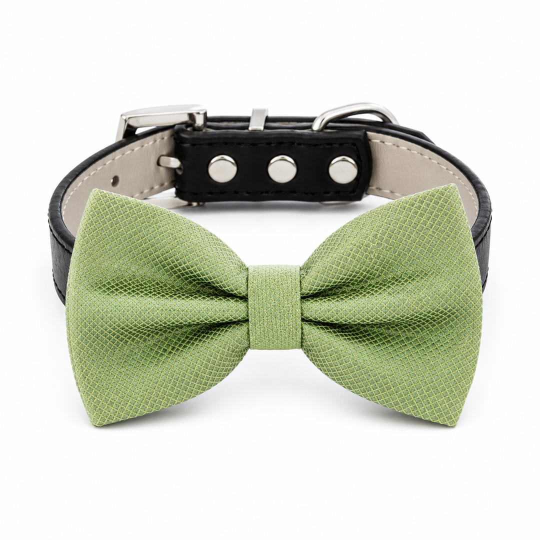 Sage green textured dog bow tie collar with black vegan leather collar and silver-tone hardware