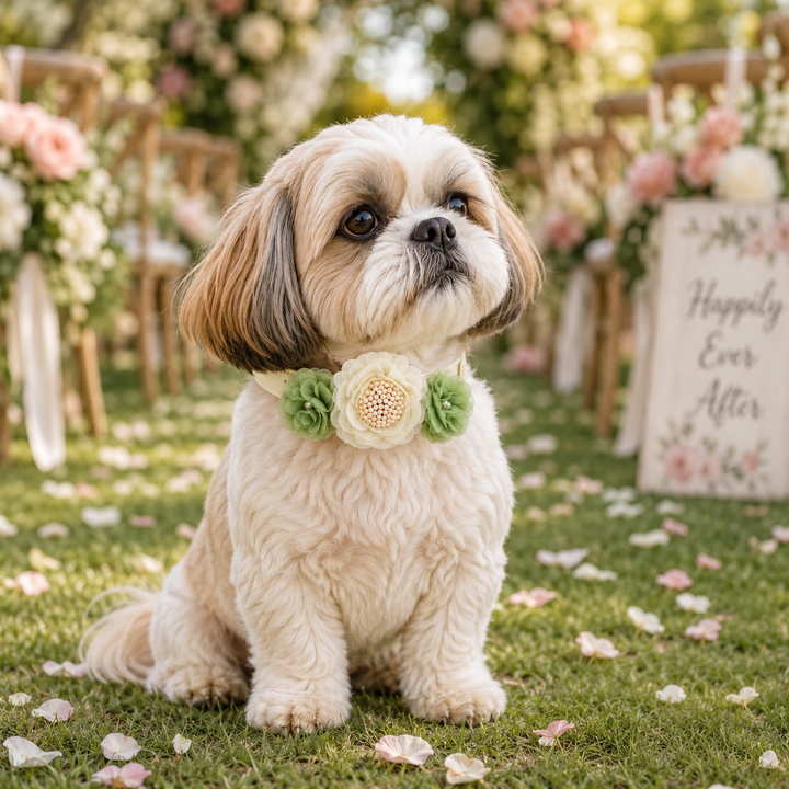 Shih Tzu wearing an ivory and sage green floral wedding collar at an outdoor wedding ceremony.