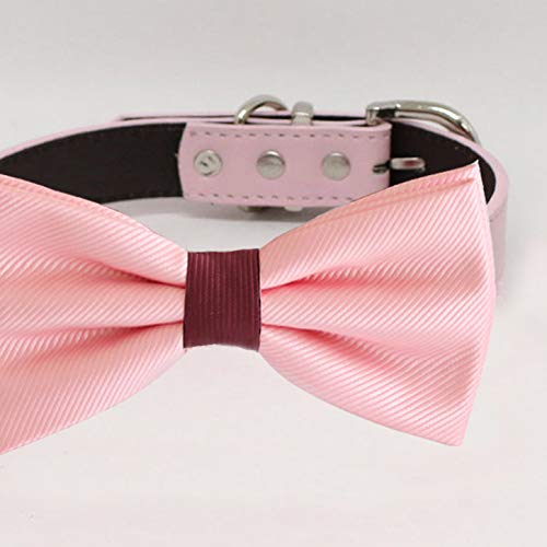 Close-up of a soft pink satin dog bow tie with burgundy center accent and matching pink collar.