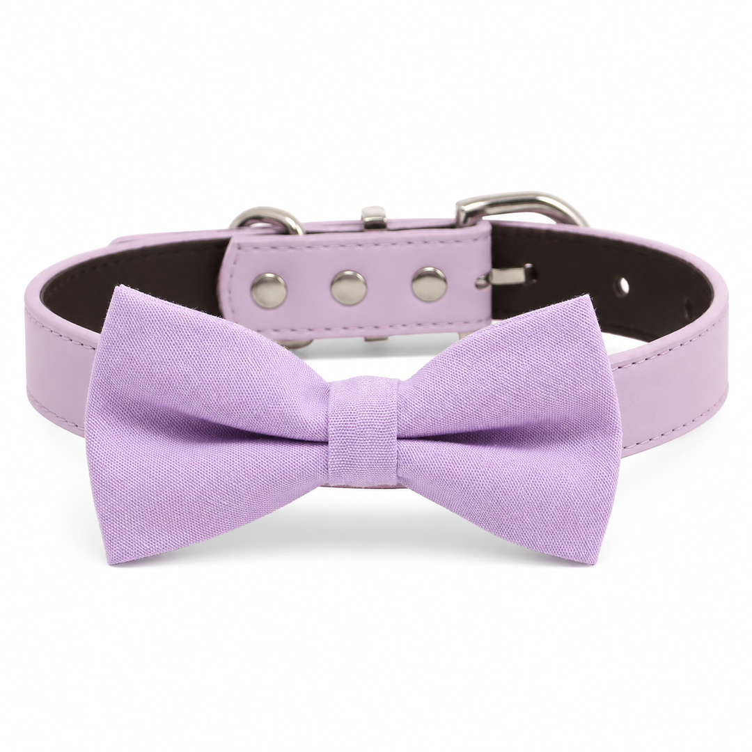 Solid lavender dog bow tie attached to a matching light lavender vegan leather collar with silver-tone hardware