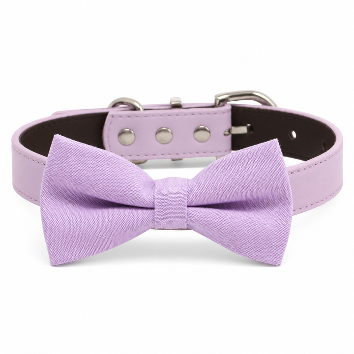 Solid lavender dog bow tie attached to a matching light lavender vegan leather collar with silver-tone hardware