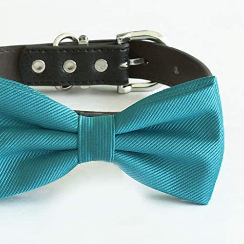 Close-up of a teal blue textured satin dog bow tie with diagonal ribbed texture.