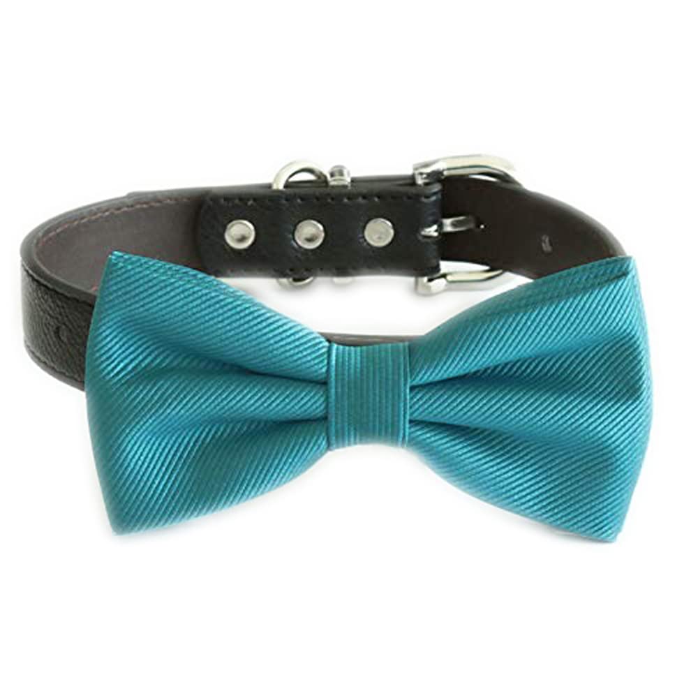 Teal blue textured satin dog bow tie attached to an adjustable black collar.