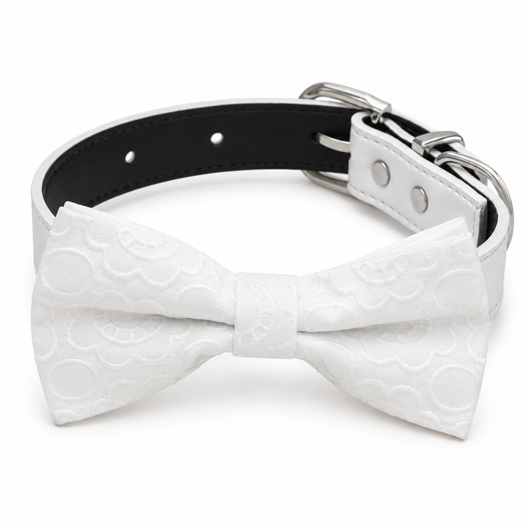 White jacquard dog bow tie collar with embossed floral texture, white vegan leather collar, and silver-tone hardware
