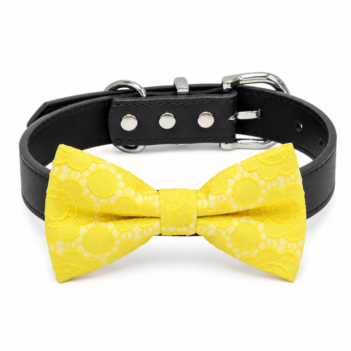 Yellow floral lace dog bow tie collar with black vegan leather collar and silver-tone hardware