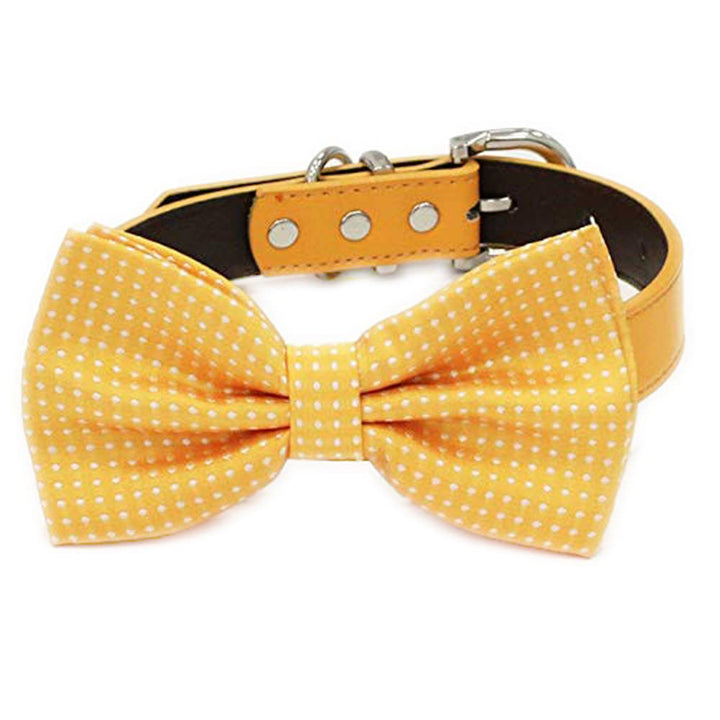 Yellow polka dot dog bow tie attached to a yellow vegan leather collar with silver-tone buckle and D-ring.