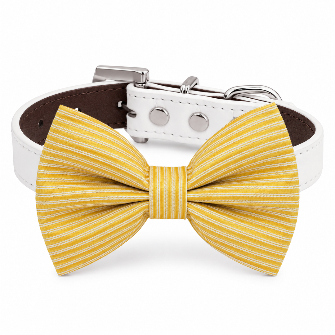 Yellow striped dog bow tie collar with white vegan leather collar and silver-tone hardware