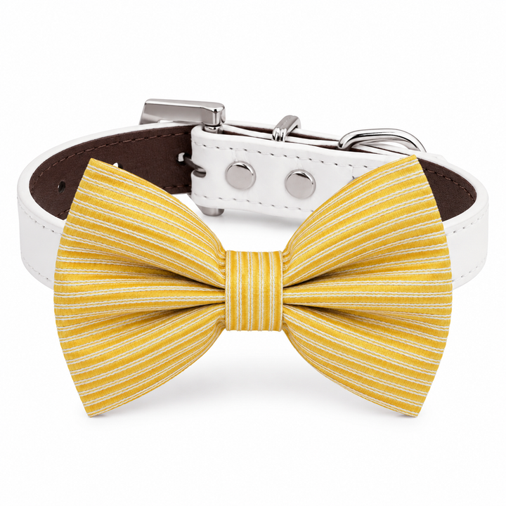 Yellow striped dog bow tie collar with white vegan leather collar and silver-tone hardware