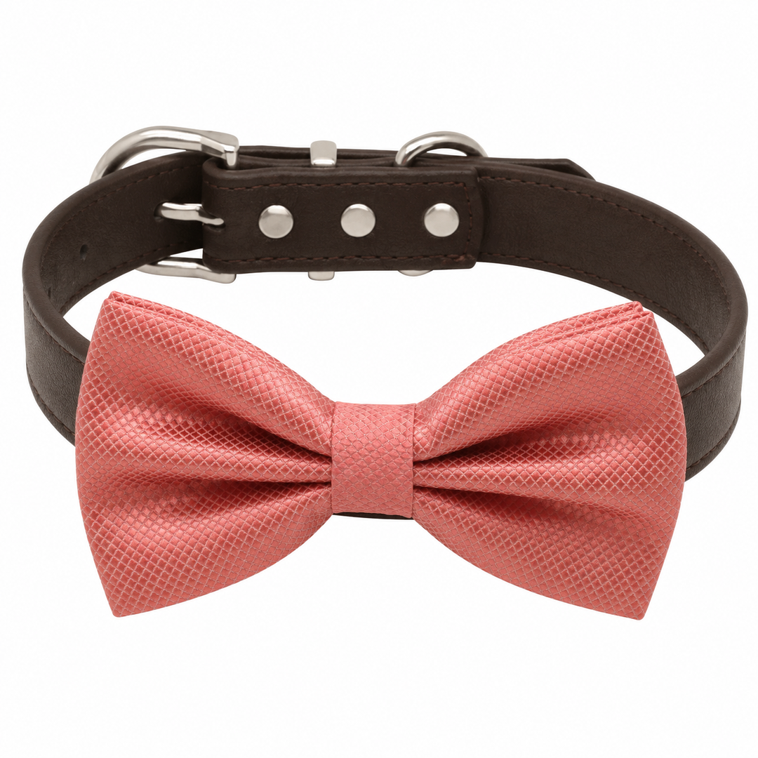 Coral pink textured dog bow tie attached to dark brown vegan leather dog collar with silver hardware