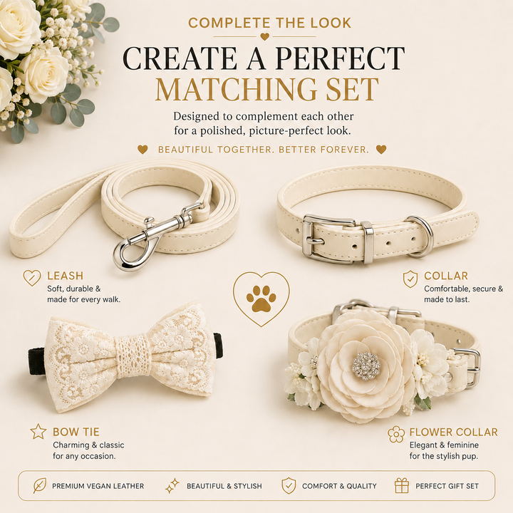 Complete the look with the copper dog leash