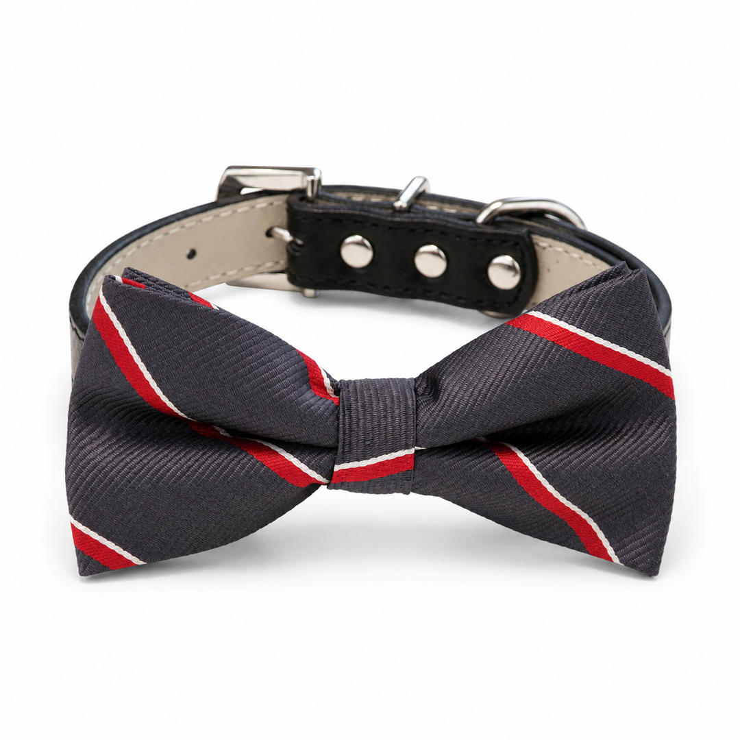 Navy dog bow tie collar with red and white diagonal stripes attached to a black vegan leather dog collar.