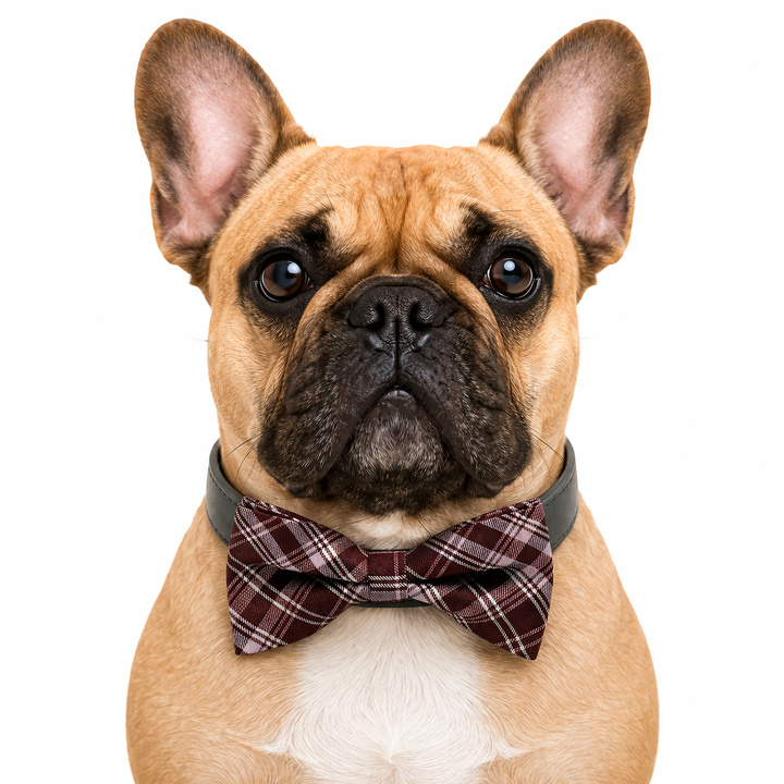 Burgundy Plaid Dog Bow Tie Collar with Adjustable Vegan Leather Collar for Dogs & Puppies