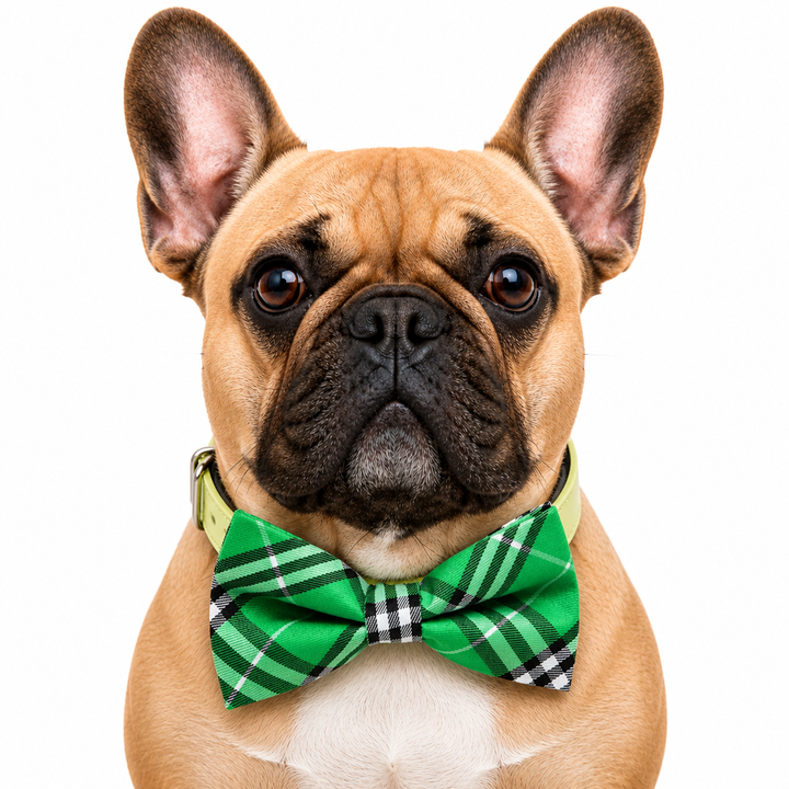 Green Plaid Dog Bow Tie Collar with Adjustable Vegan Leather Collar for Dogs & Puppies