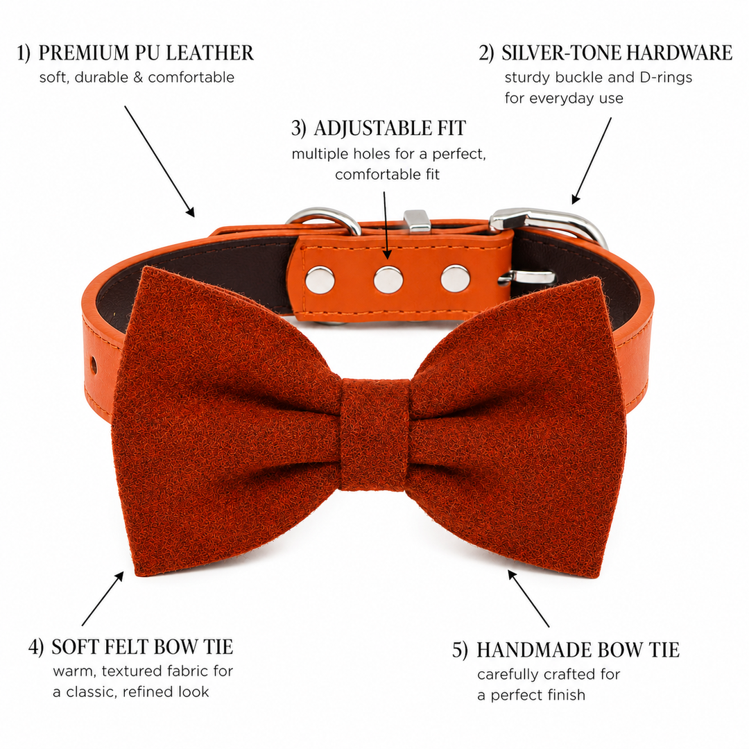Feature guide highlighting premium vegan leather collar, adjustable fit, silver-tone hardware, and handmade rust orange felt dog bow tie.