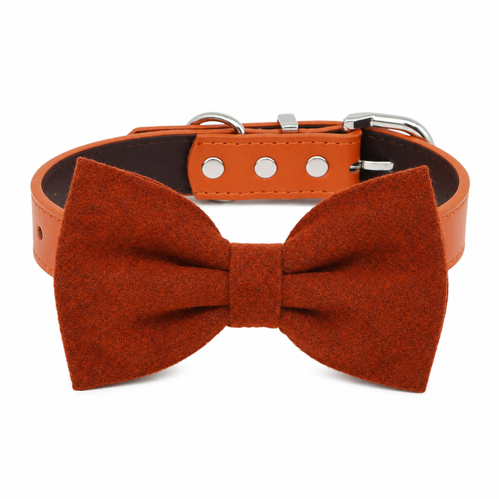 Rust orange felt dog bow tie attached to an adjustable vegan leather dog collar with silver-tone hardware for weddings and special occasions.