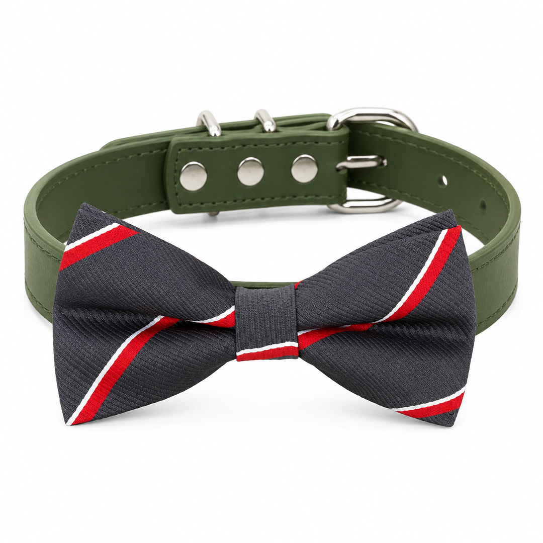 Handmade striped dog bow tie collar with olive green adjustable collar and silver hardware